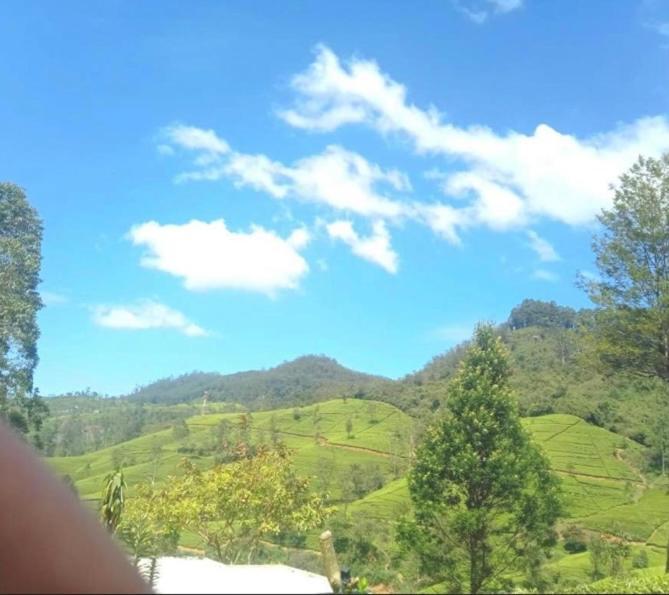 Nuwaraeliya Penthouse Apartment With Pool & Panaromic Views Nuwara Eliya Exterior photo